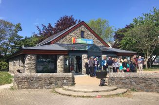 Wellbeing Walk